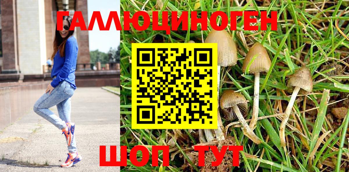 Галлюциногенные грибы мухоморы  Вход с VPN  Саранск  Галлюциногенные грибы мицелий 