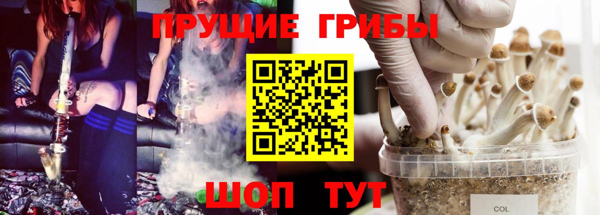 Галлюциногенные грибы ЛСД Саранск