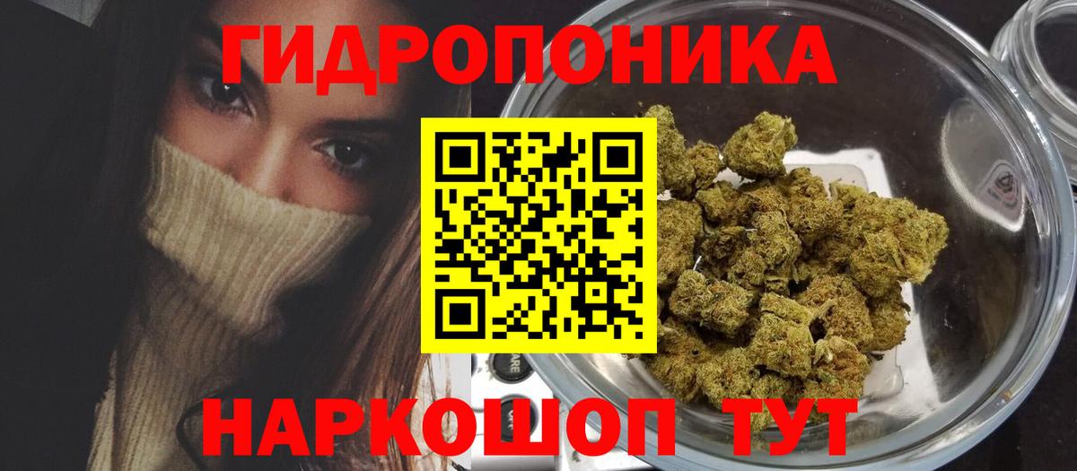 Конопля MAZAR  Бошки Шишки OG Kush  Шишки марихуана конопля  Вход с VPN  МАРИХУАНА семена  Саранск 